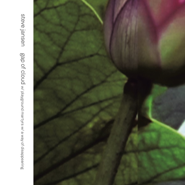 Gap of Cloud/A Way of Disappearing/Playground Martyrs (feat. David Sylvian) - Single album cover