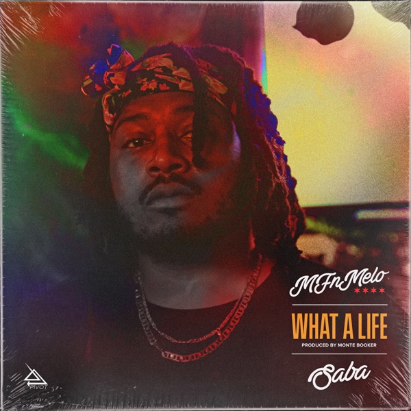 What a Life - Single album cover