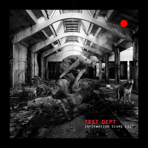 Information Scare (Edit) - Single album cover