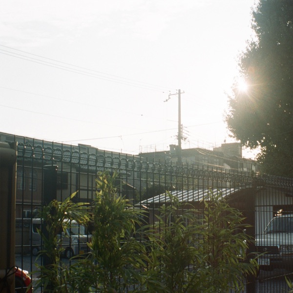 Treehouse / Evergreens - Single album cover