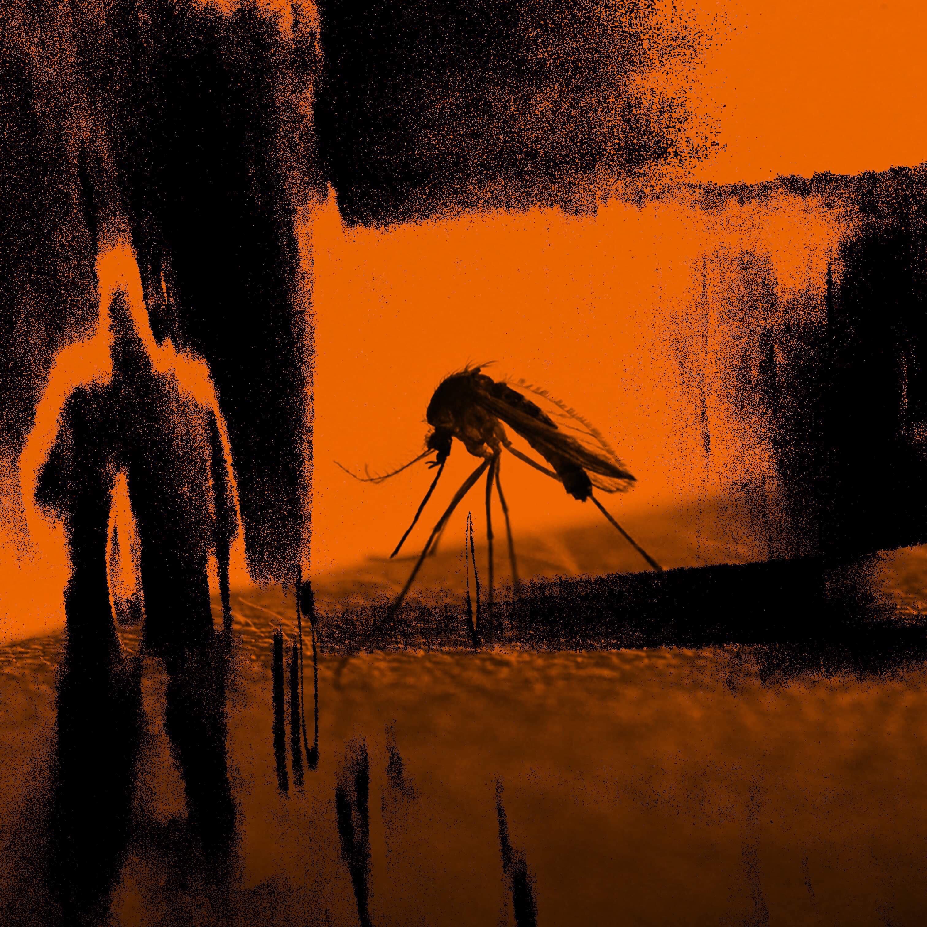 Faster Than the Radio / Mosquito - Single album cover