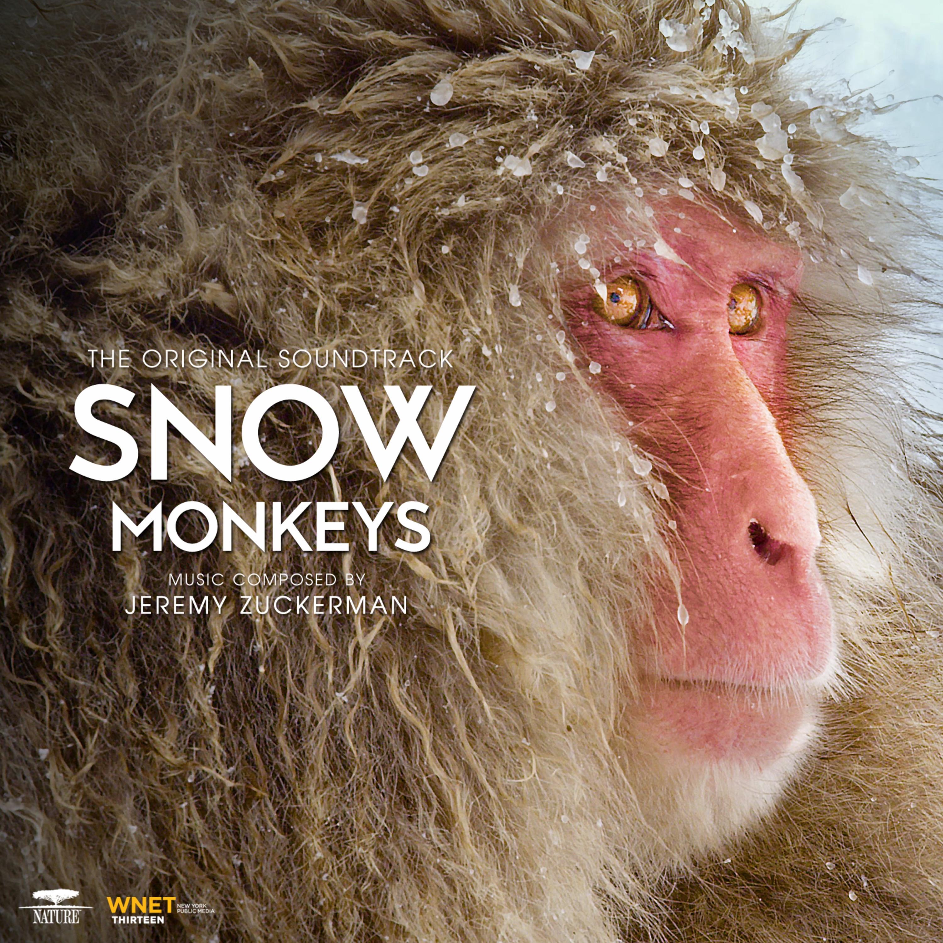 Snow Monkeys (From PBS's "Nature") [Original Television Soundtrack] album cover
