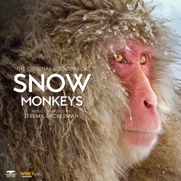 Snow Monkeys (From PBS's "Nature") [Original Television Soundtrack] album cover