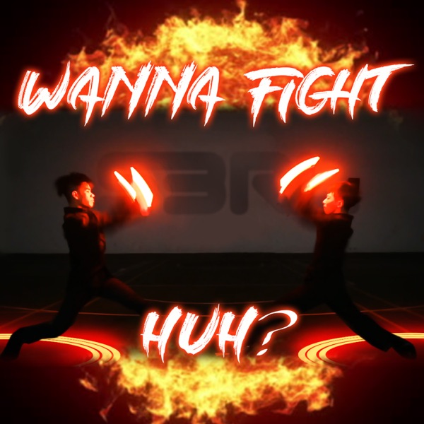 Wanna Fight Huh - Single album cover