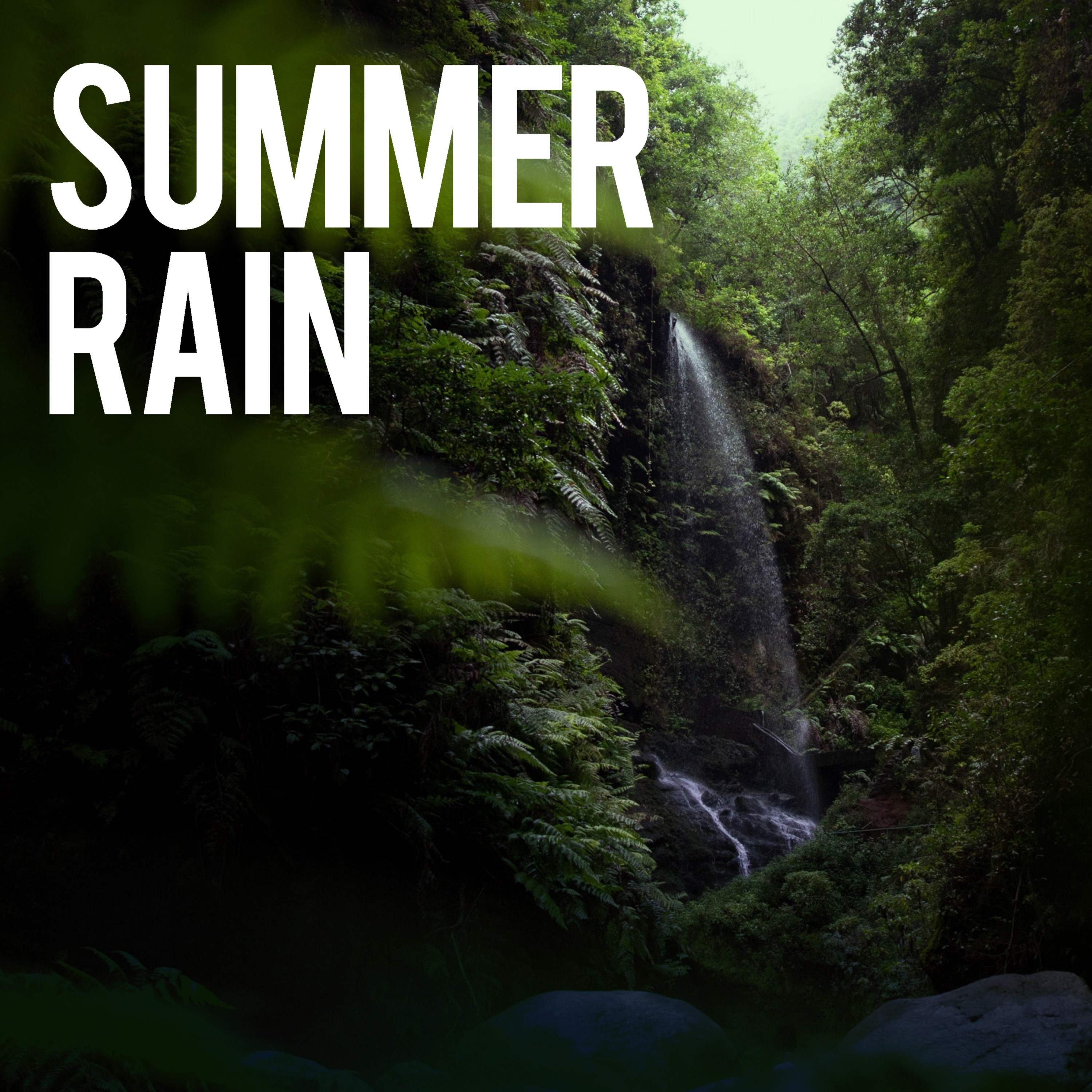 Summer Rain album cover