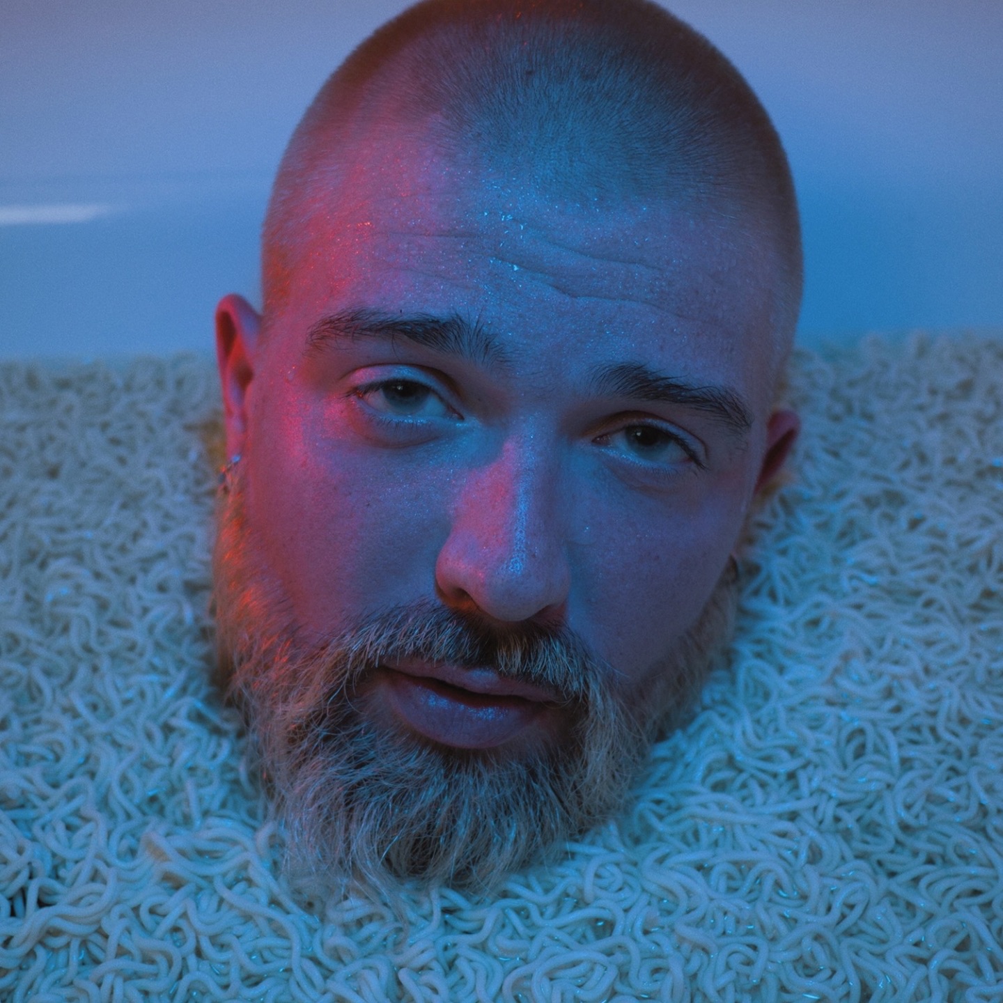 Victoires de la musique - Single album cover