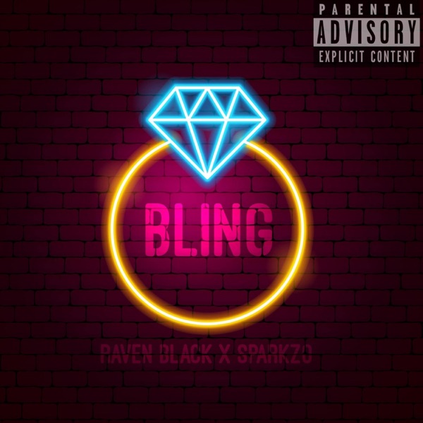 Bling (feat. Sparkzo) - Single album cover