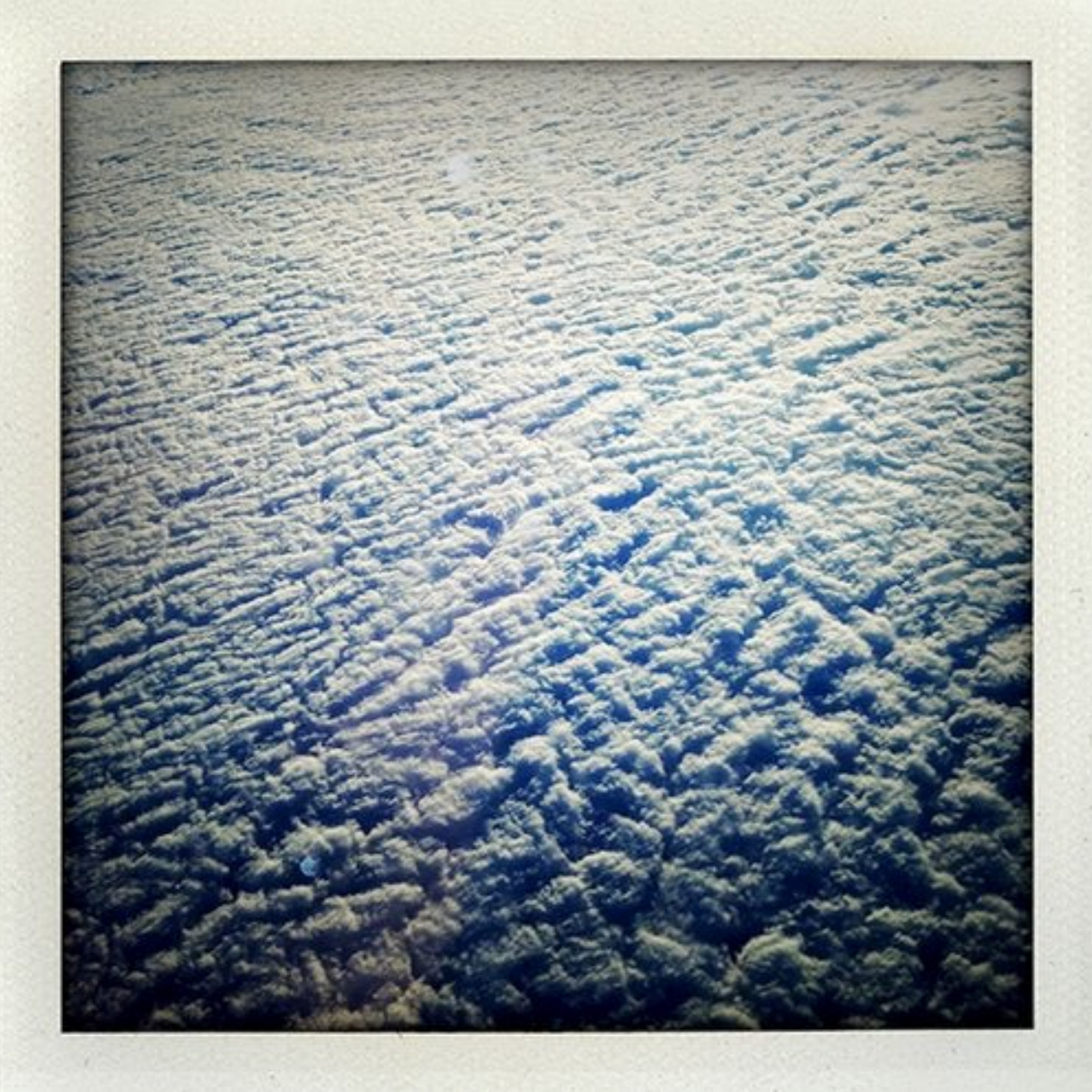 Wilderness album cover