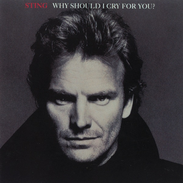 Why Should I Cry for You? - EP album cover