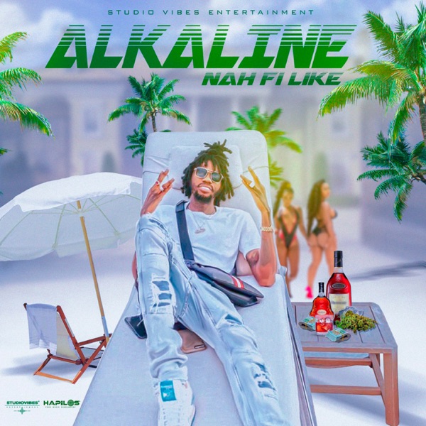 Nah Fi Like - Single album cover