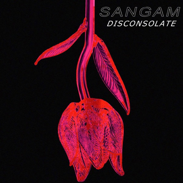 Disconsolate album cover