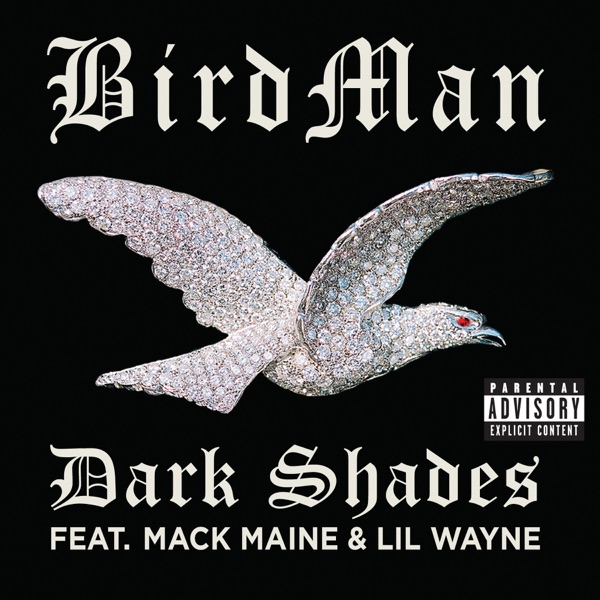 Dark Shades (feat. Lil Wayne & Mack Maine) - Single album cover