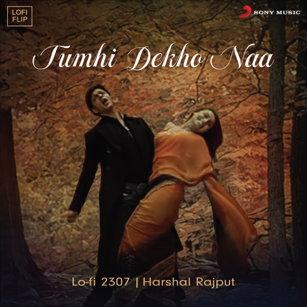 Tumhi Dekho Naa (Lofi Flip) - Single album cover