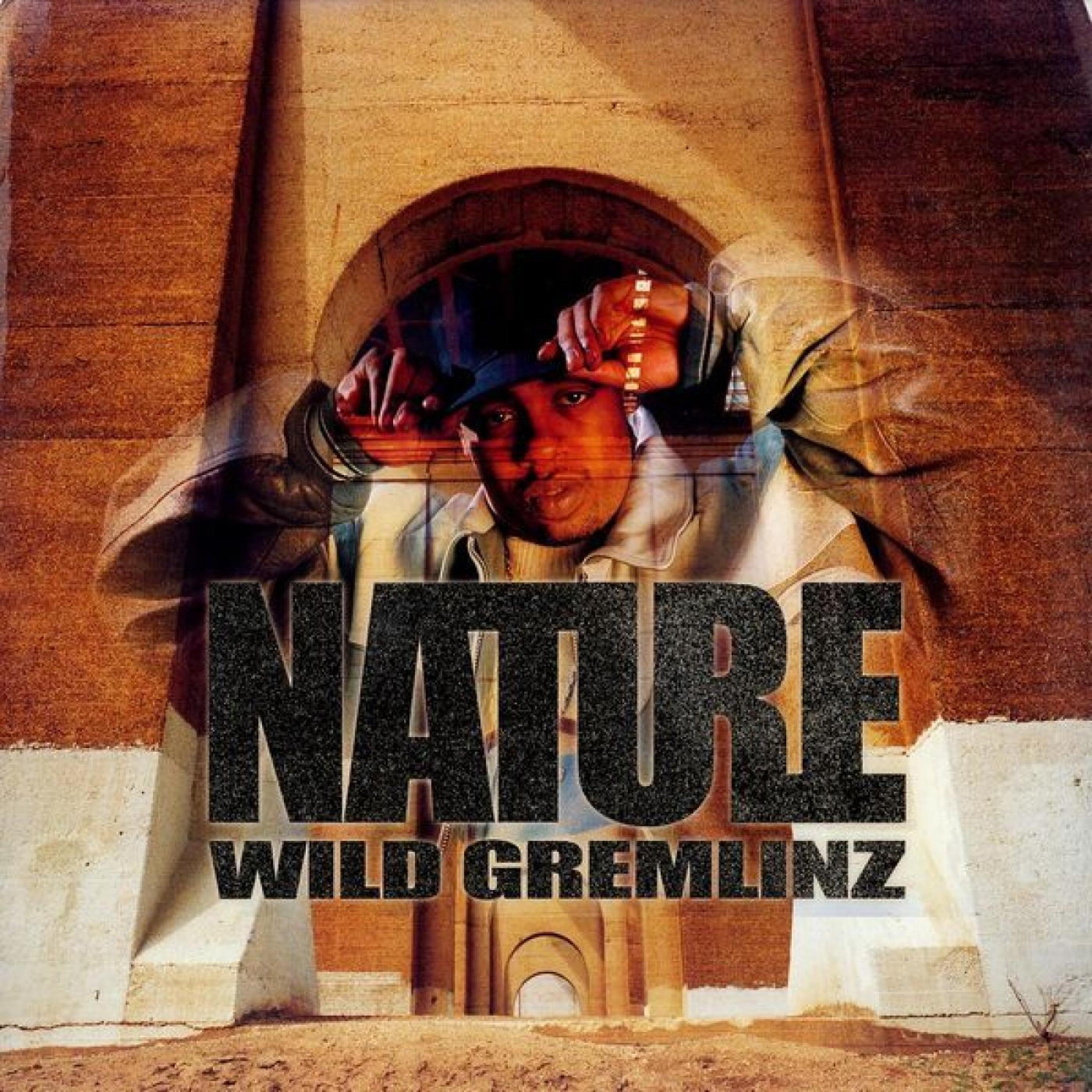 Wild Gremlinz Deluxe album cover