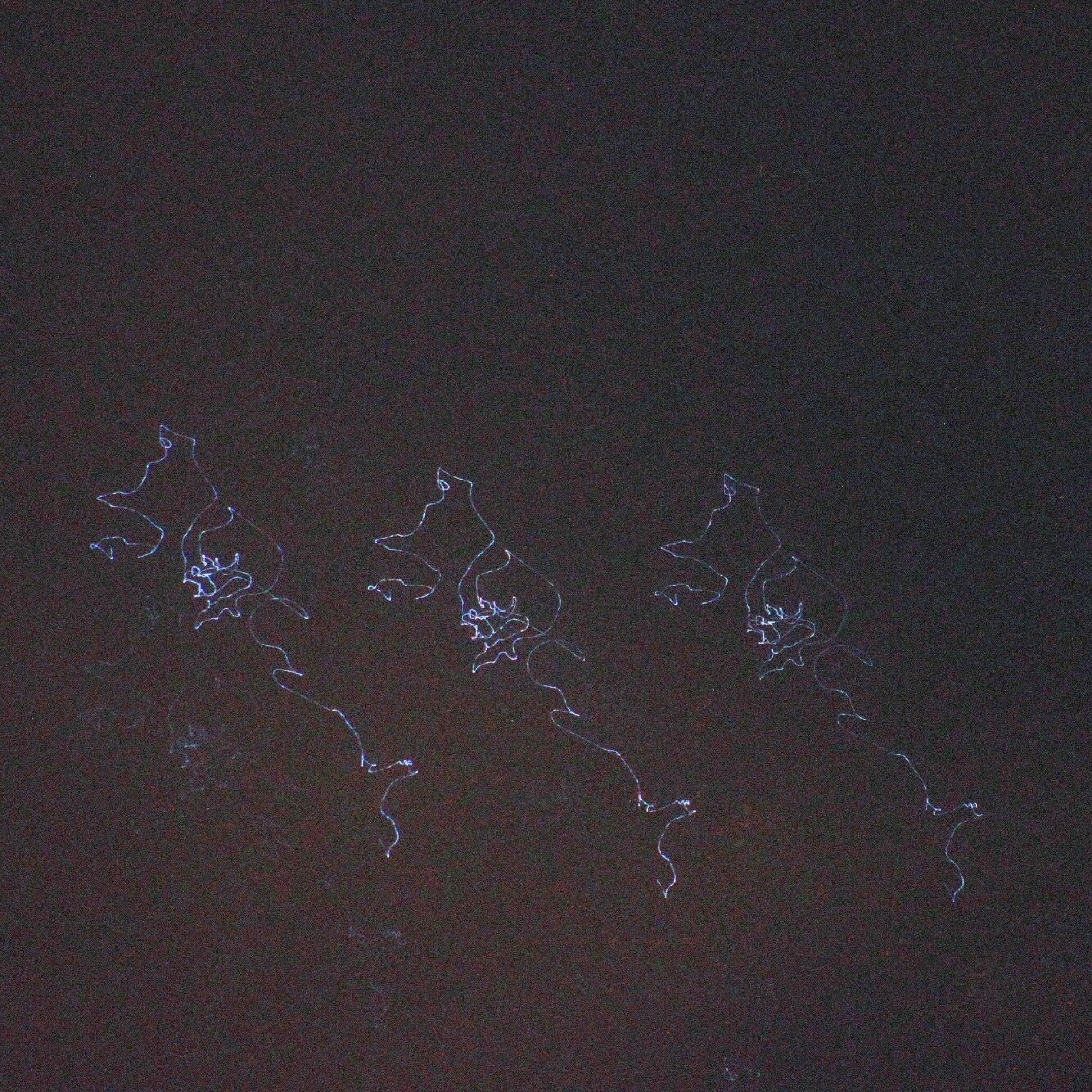 Sidereal Crumbs - EP album cover