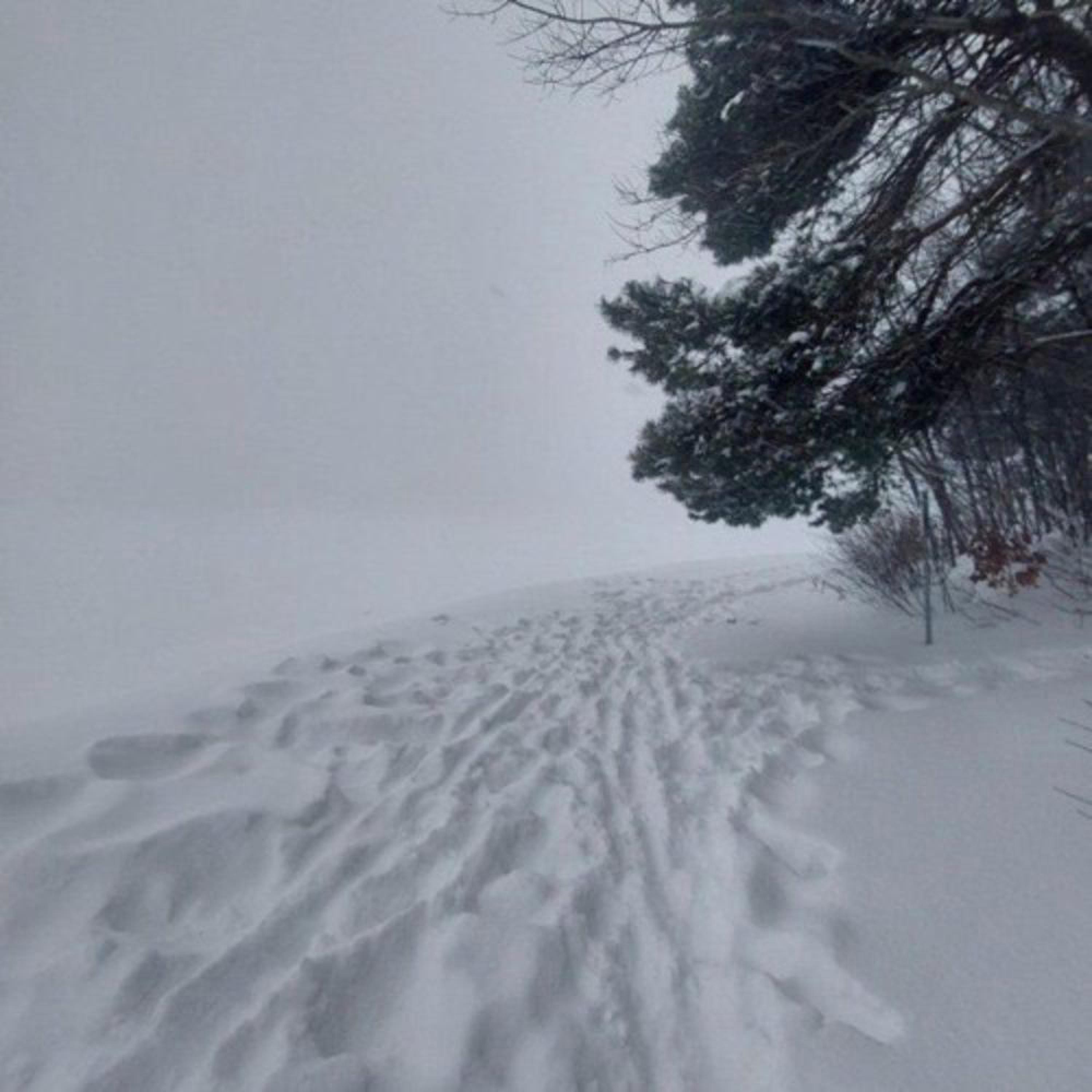 winter II - EP album cover