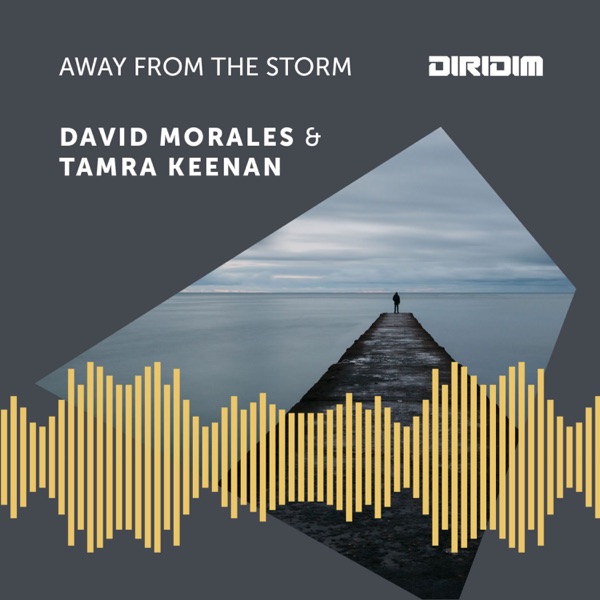 Away from the Storm album cover