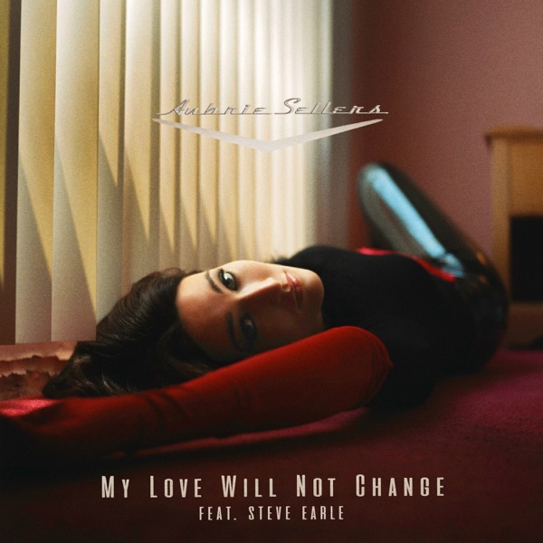 My Love Will Not Change (feat. Steve Earle) - Single album cover