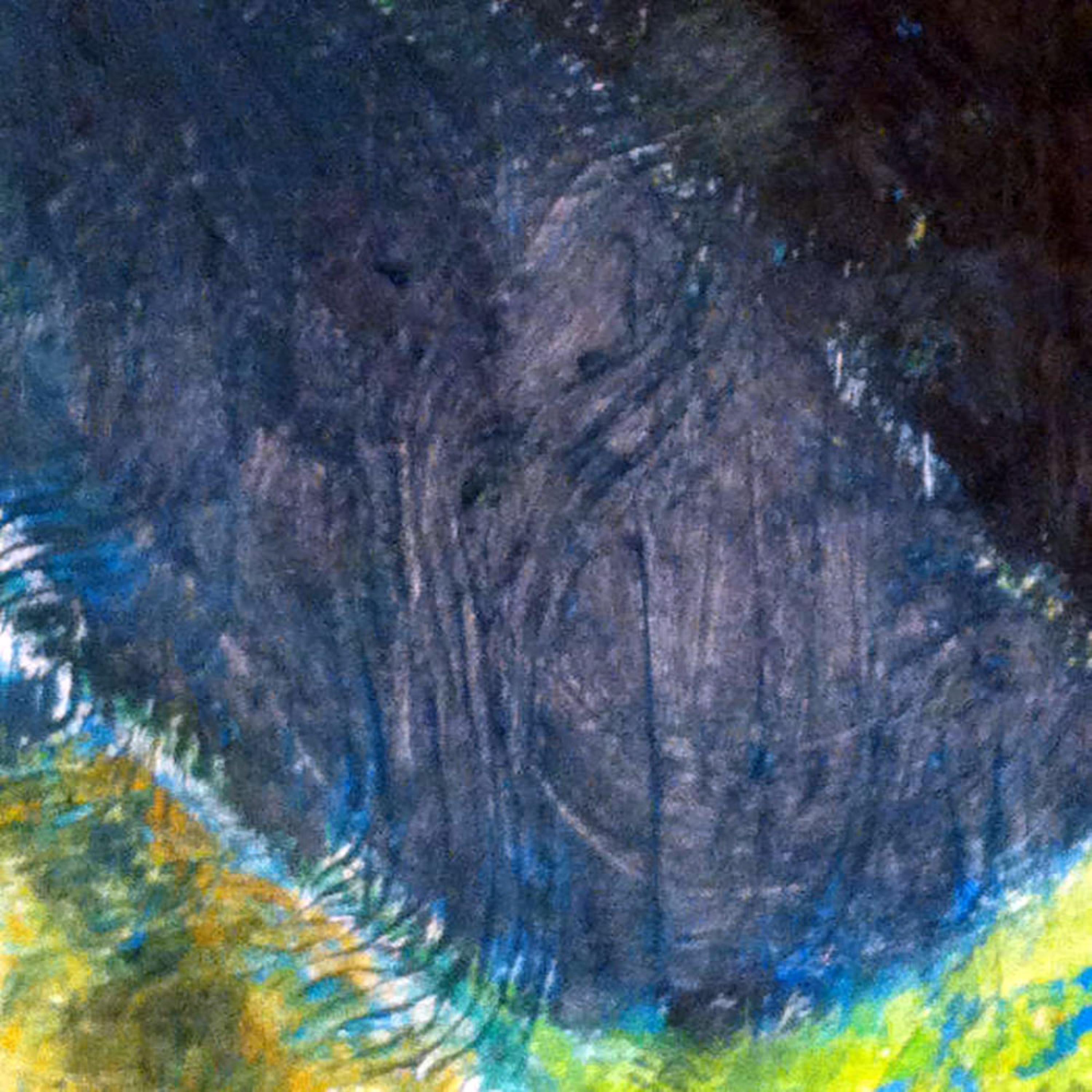 Youniverse - EP album cover