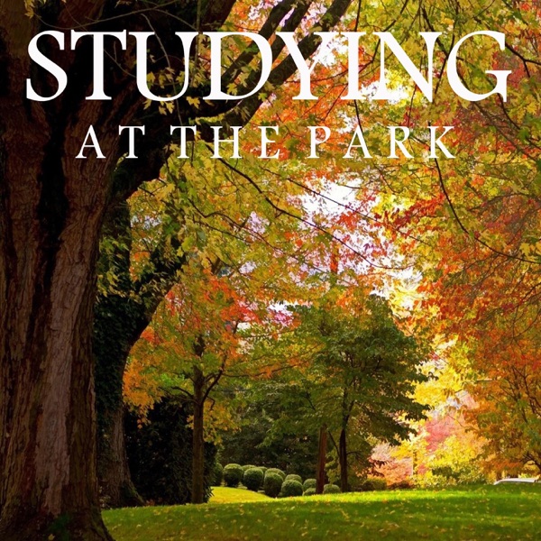 Studying at the Park album cover