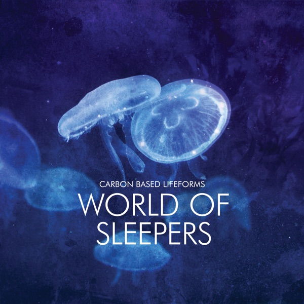 World of Sleepers album cover