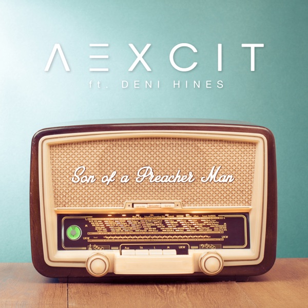 Son of a Preacher Man (feat. Deni Hines) - Single album cover