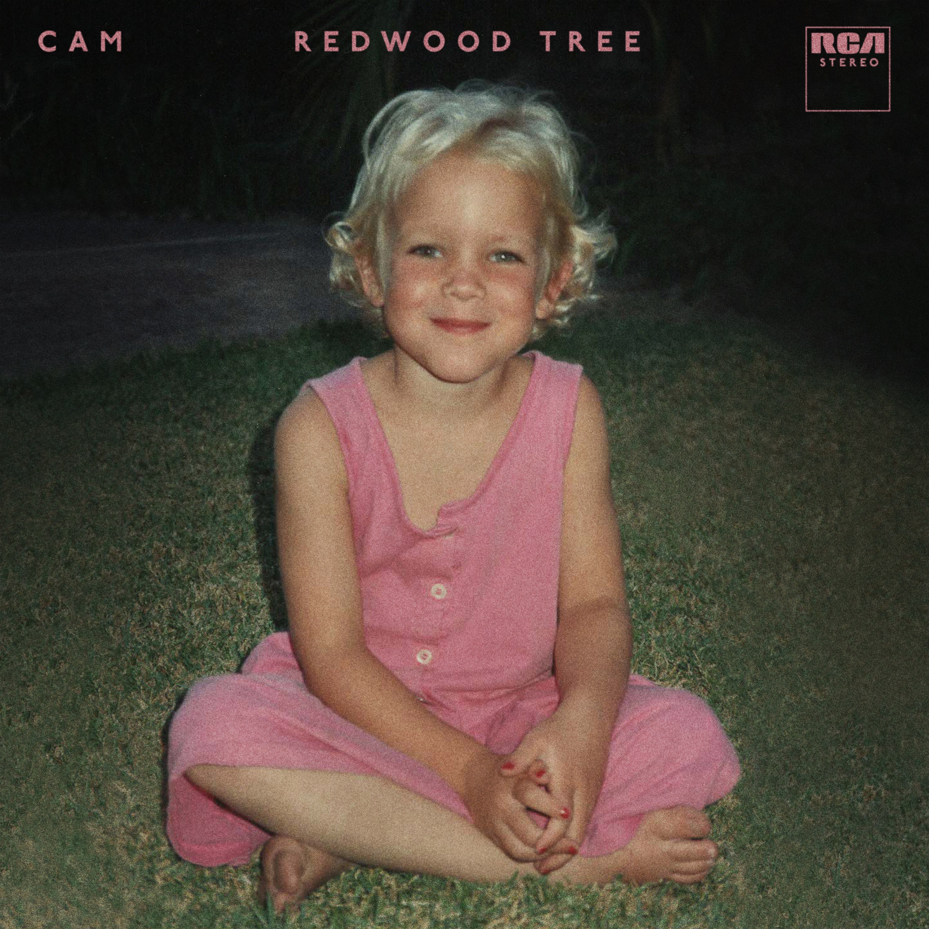 Redwood Tree - Single album cover