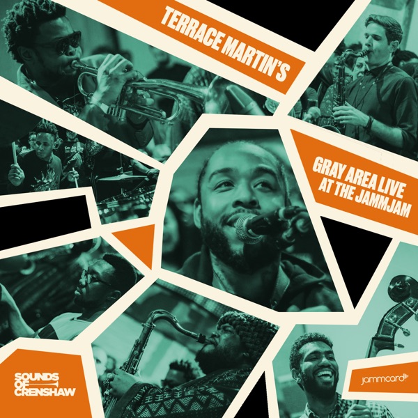 Sounds of Crenshaw & Jammcard present: Terrace Martin's Gray Area Live at the JammJam album cover