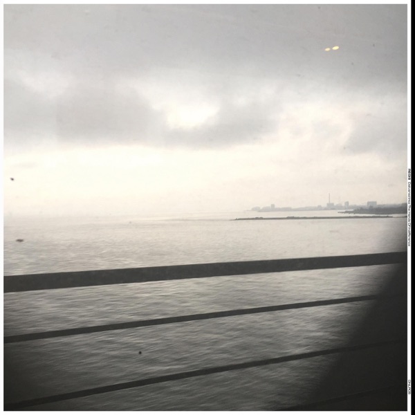 Delivered into the Hands of Indifference album cover