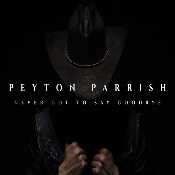 Never Got to Say Goodbye - Single album cover