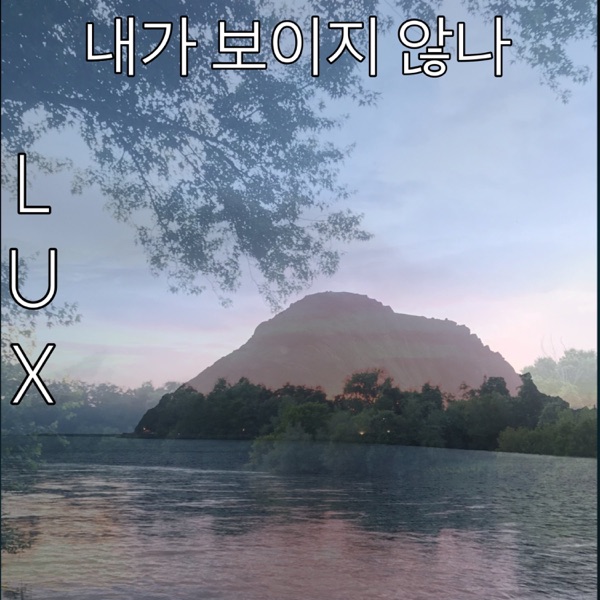 내가 보이지 않나 - Single album cover