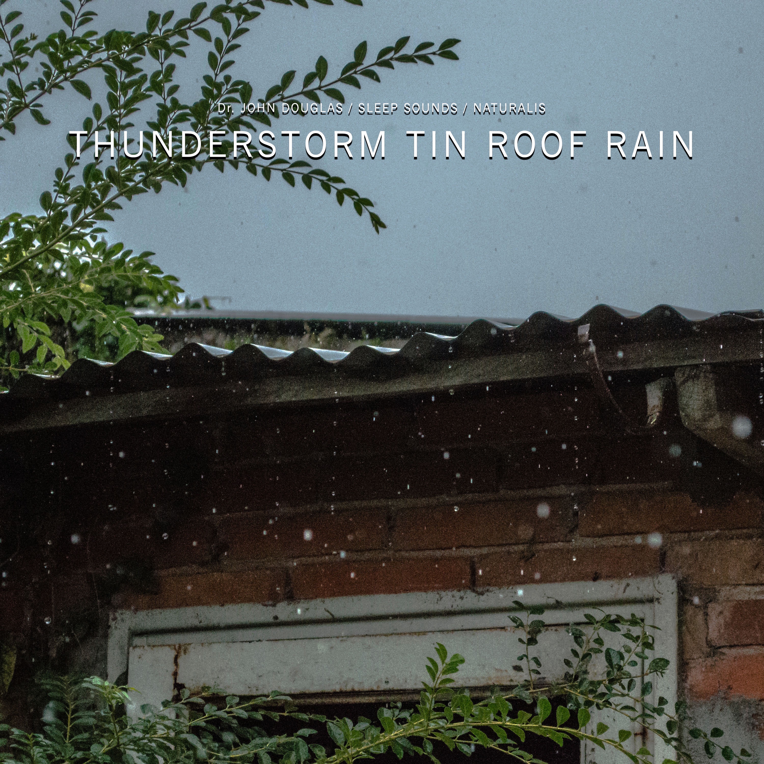 Thunderstorm Tin Roof Rain - Single album cover