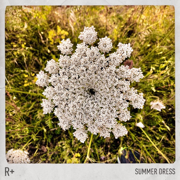 Summer Dress - Single album cover
