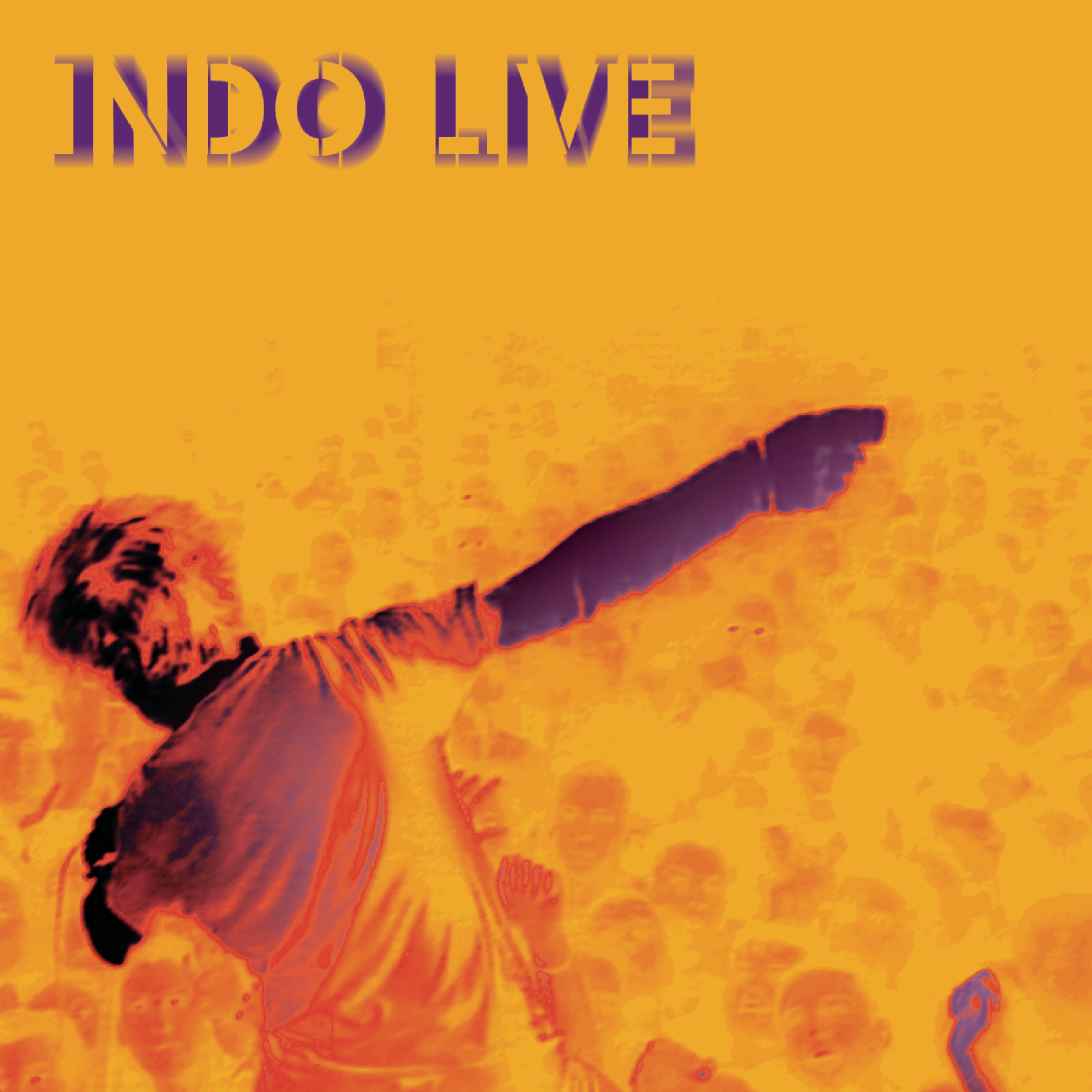 Indo Live (Live) album cover