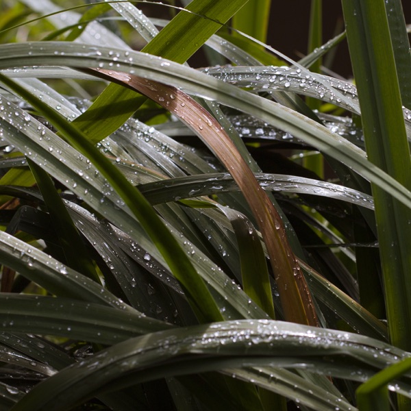 The Life Behind Things - Single album cover