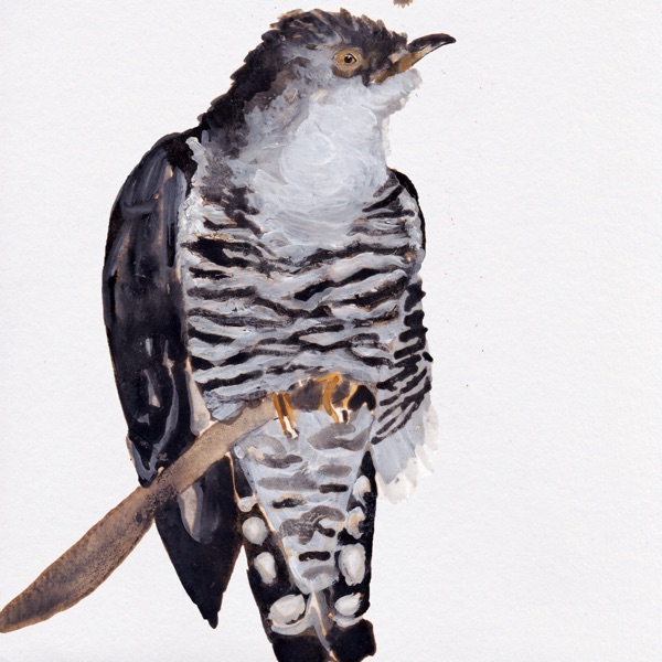Cuckoo Song - Single album cover