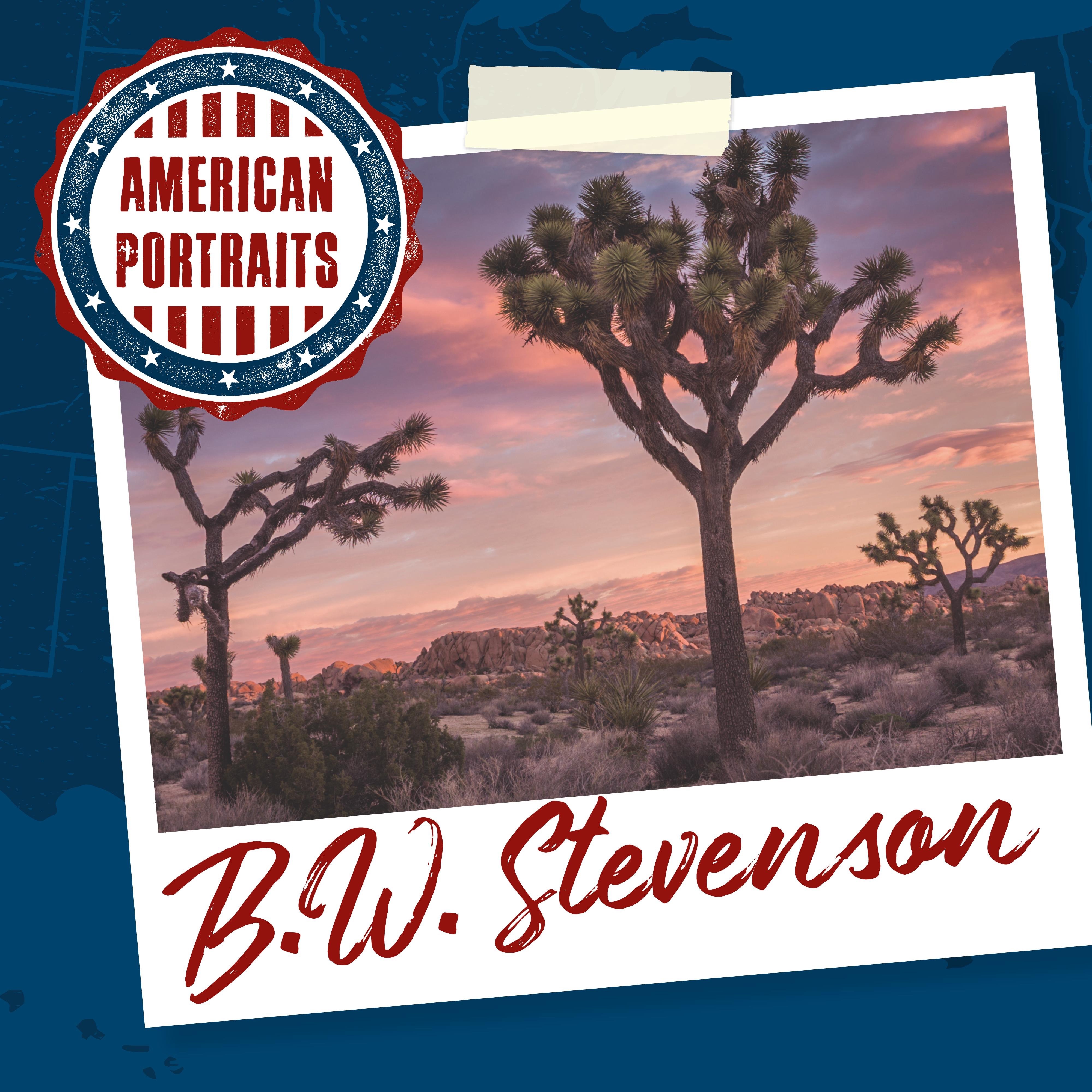 American Portraits: B.W. Stevenson album cover