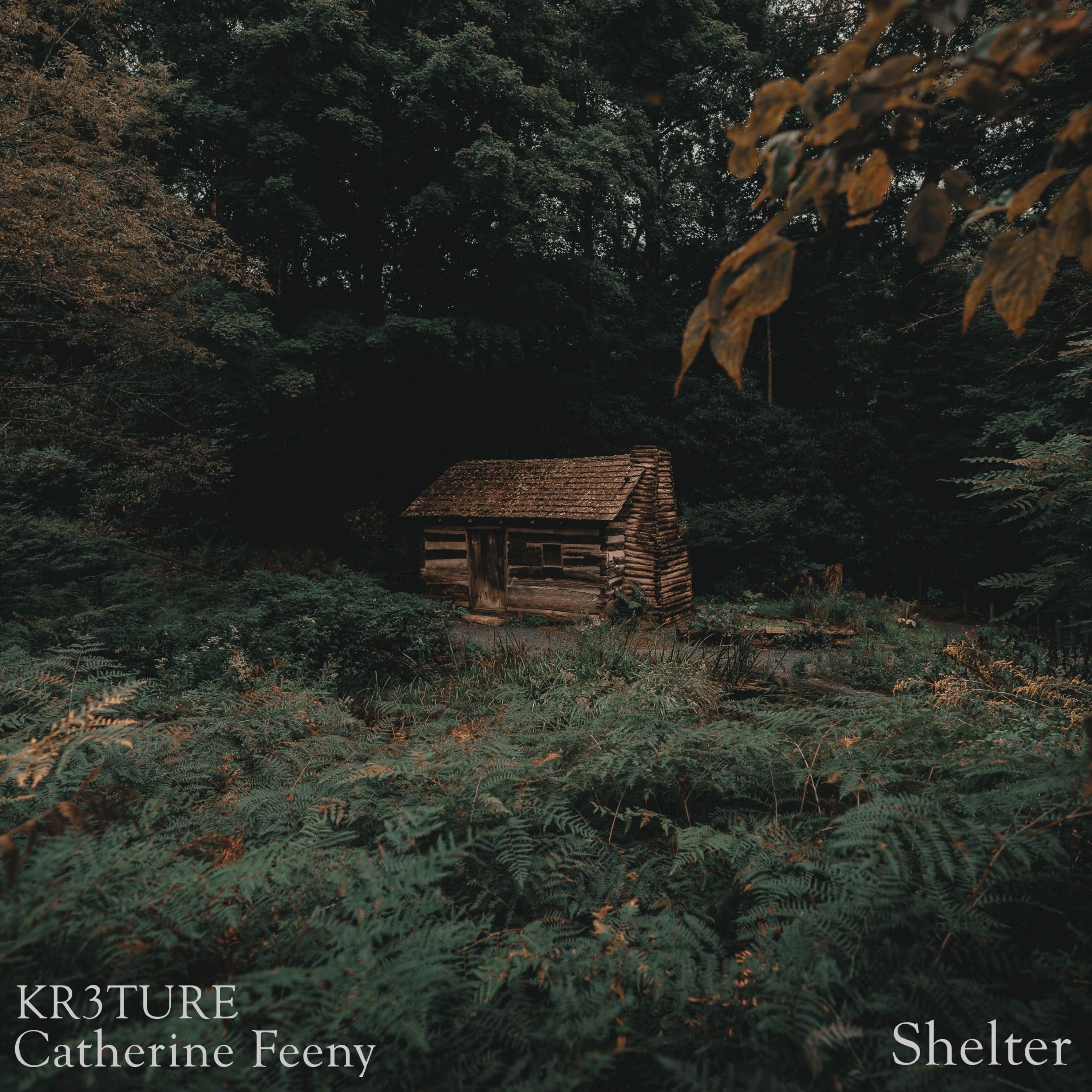 Shelter - Single album cover