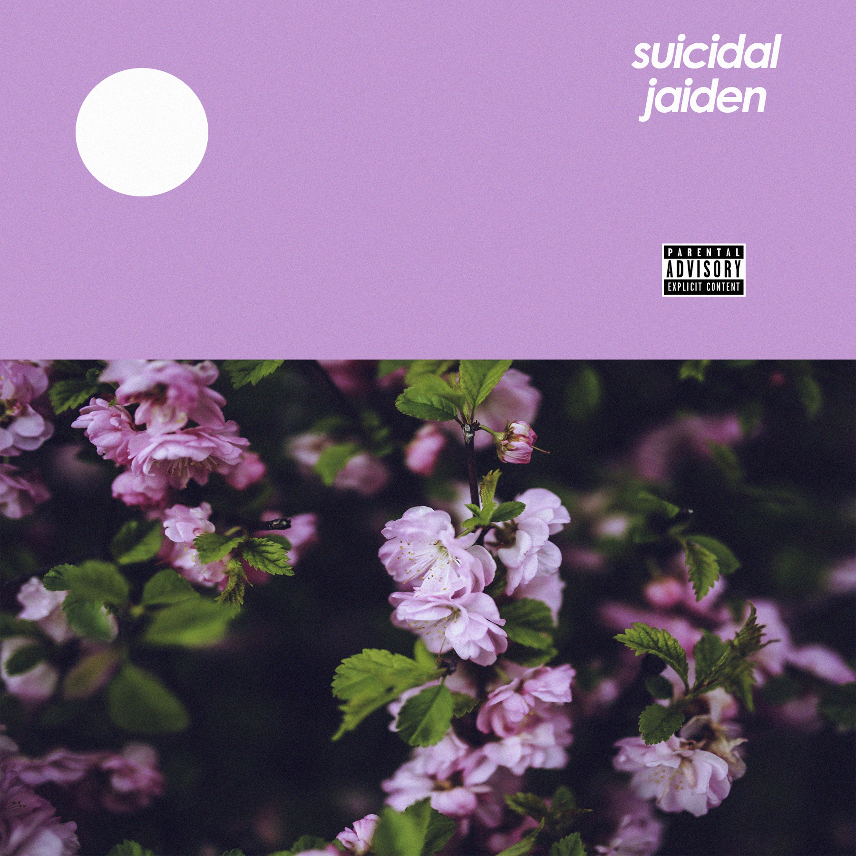 Suicidal - Single album cover