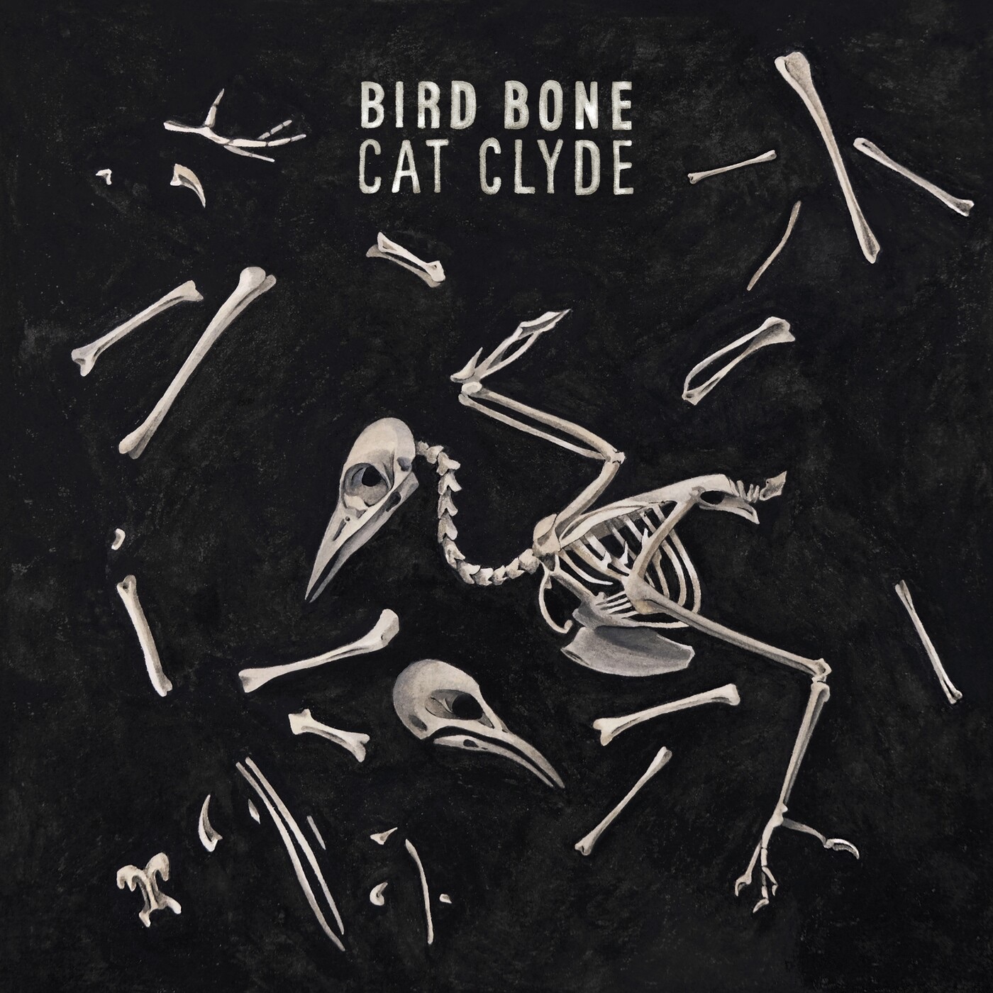 Bird Bone - Single album cover