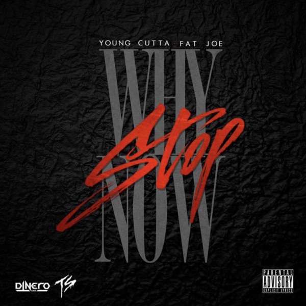 Why Stop Now (feat. Fat Joe) - Single album cover