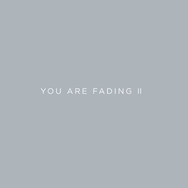 You Are Fading, Vol. 2 (Bonus Tracks 2005 - 2010) album cover
