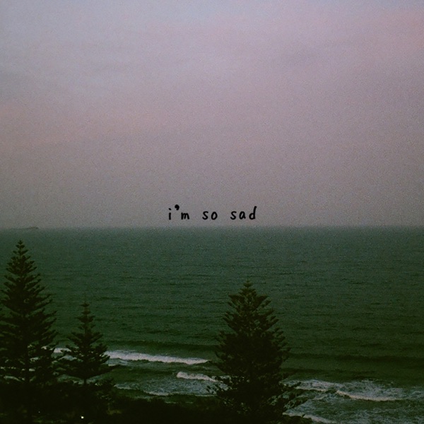 i'm so sad - Single album cover