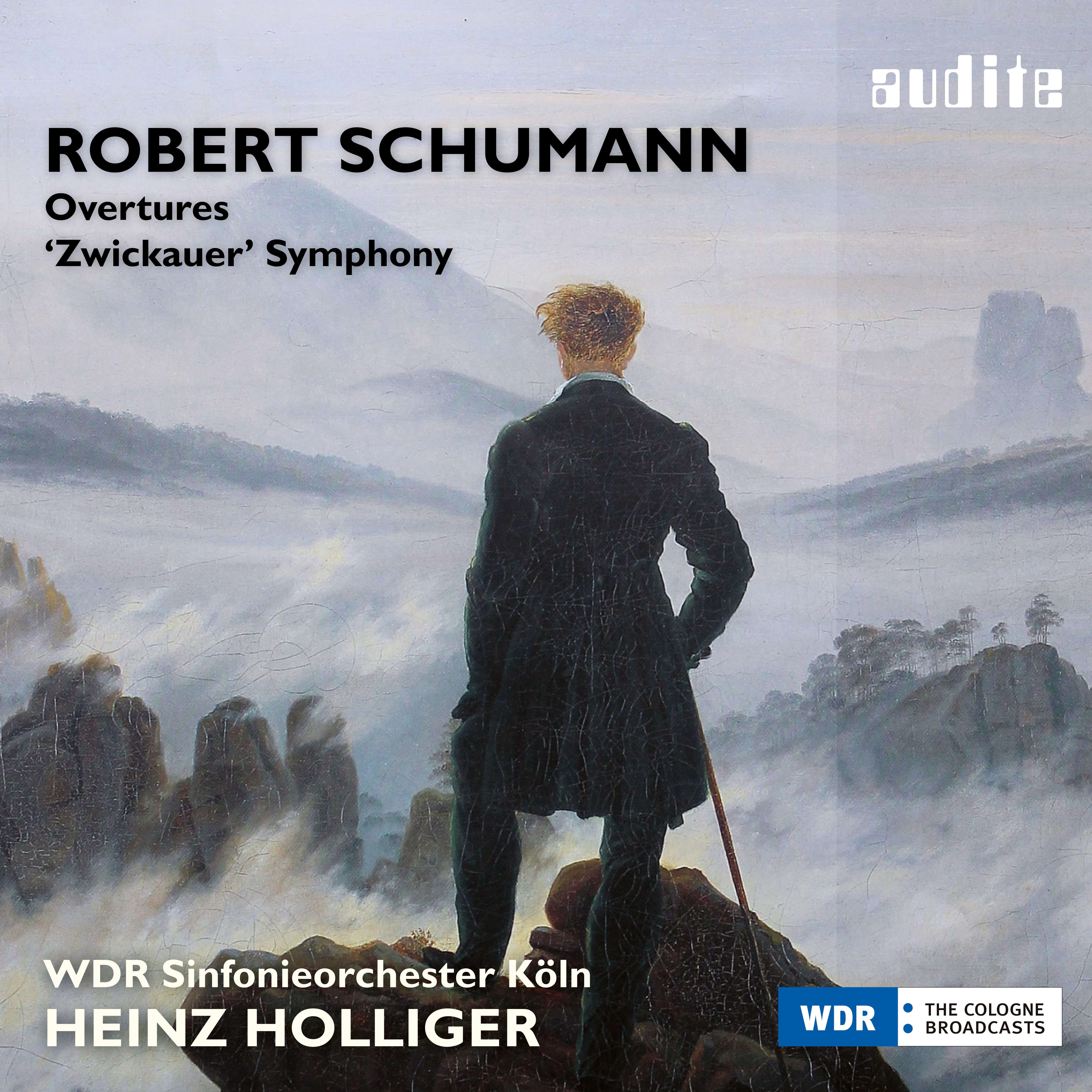 Schumann: Complete Symphonic Works, Vol. VI album cover