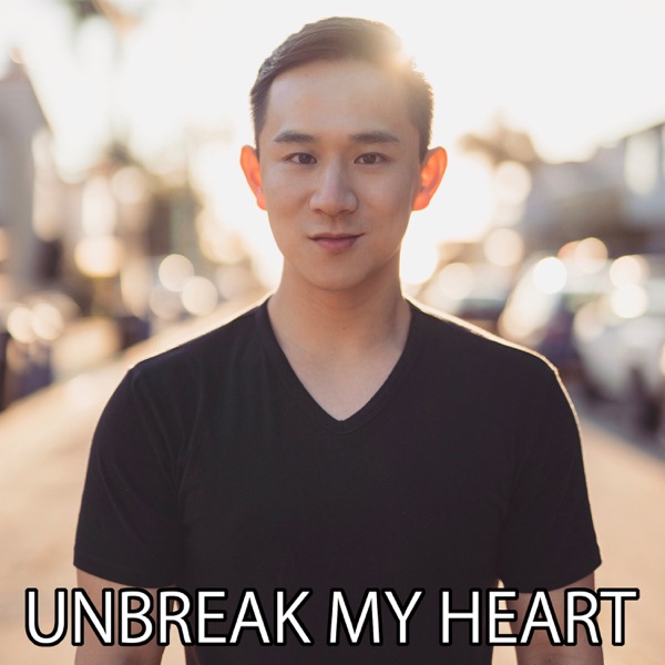 Unbreak My Heart - Single album cover