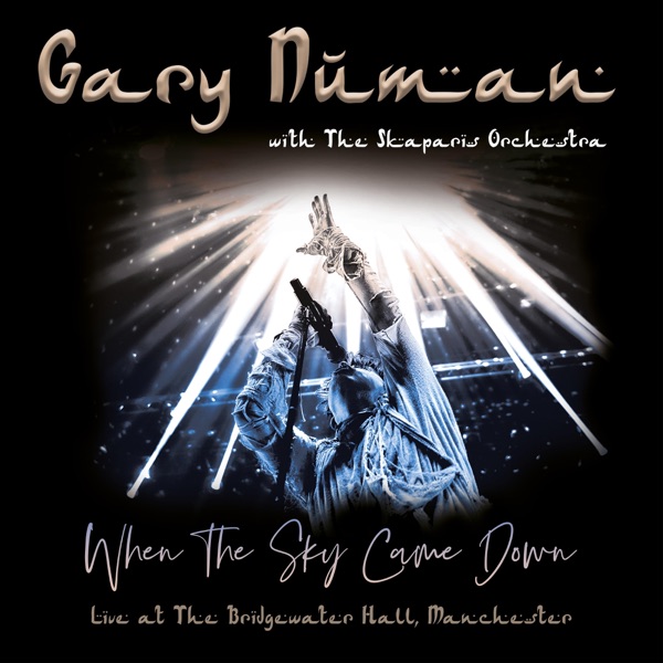 When the Sky Came Down (Live at the Bridgewater Hall, Manchester) album cover