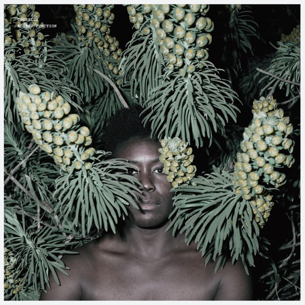 Borneo Function - EP album cover