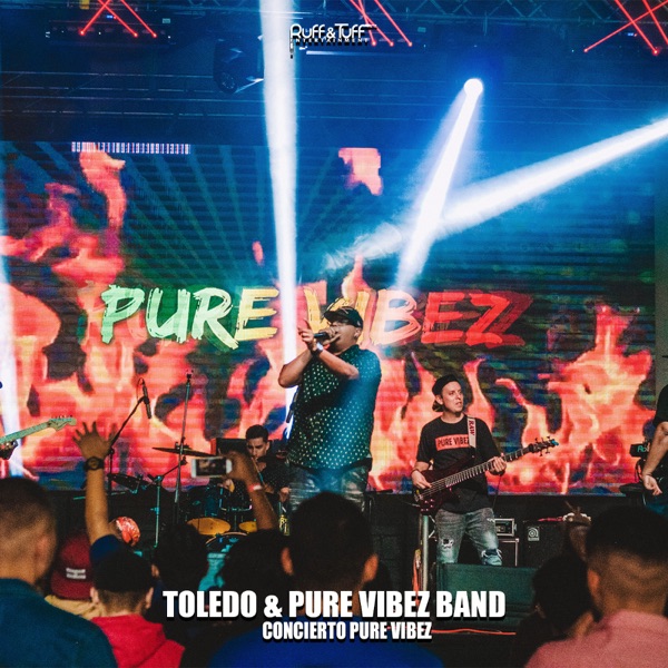 Concierto Pure Vibez album cover