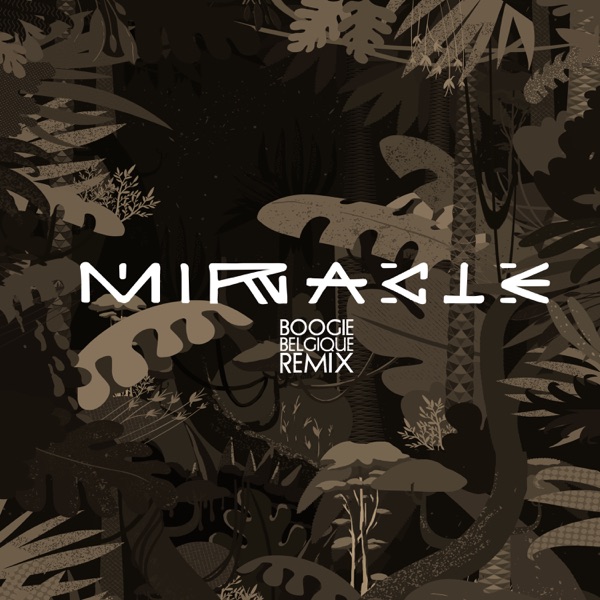 Miracle (Boogie Belgique Remix) - Single album cover