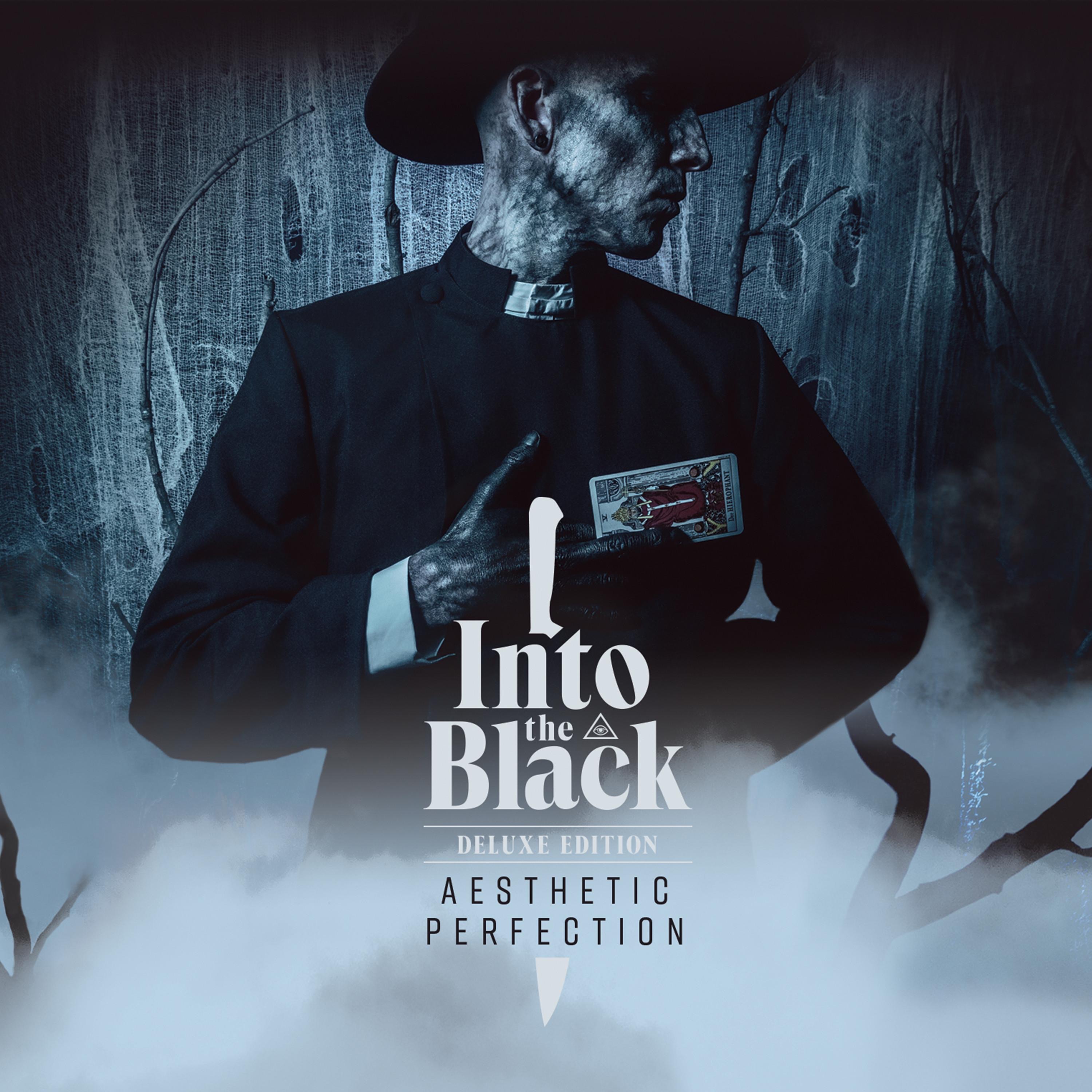 Into the Black (Deluxe Version) album cover